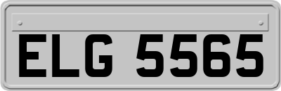 ELG5565
