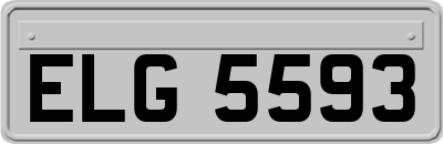 ELG5593