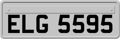 ELG5595