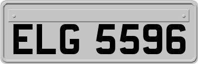 ELG5596