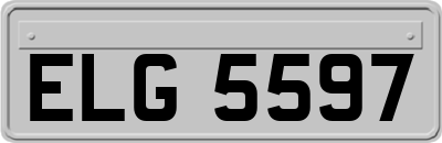 ELG5597