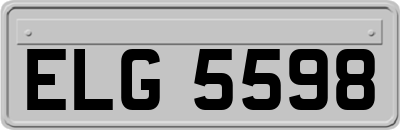 ELG5598
