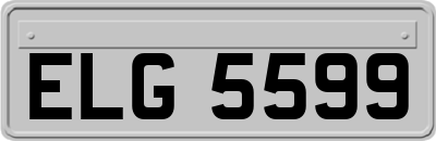 ELG5599