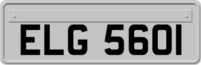 ELG5601