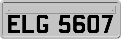 ELG5607
