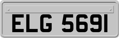 ELG5691