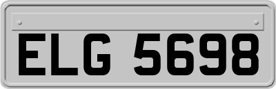 ELG5698