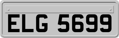 ELG5699