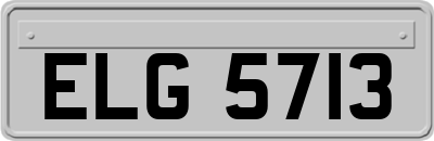 ELG5713