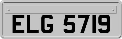 ELG5719