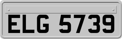ELG5739