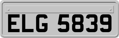 ELG5839