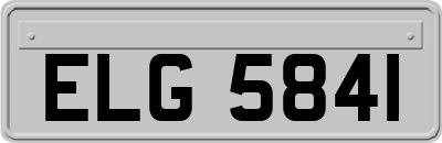 ELG5841