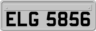ELG5856