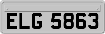 ELG5863