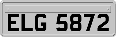 ELG5872
