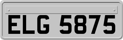 ELG5875