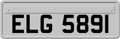 ELG5891