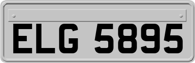 ELG5895