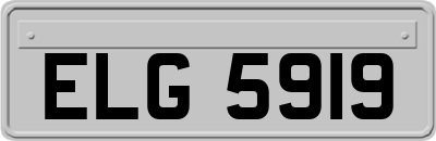 ELG5919