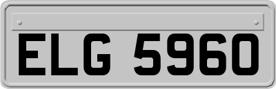 ELG5960