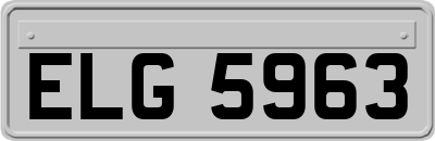 ELG5963