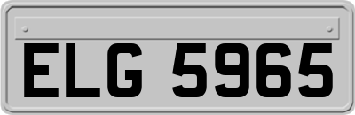 ELG5965