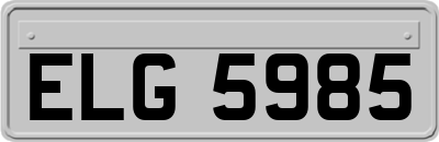 ELG5985