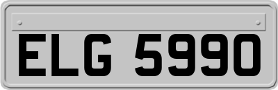 ELG5990