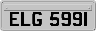 ELG5991