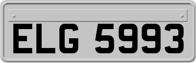 ELG5993