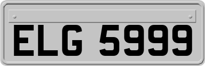 ELG5999