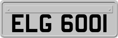 ELG6001