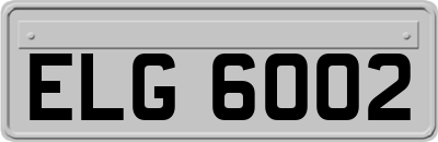 ELG6002