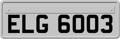 ELG6003