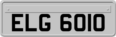 ELG6010
