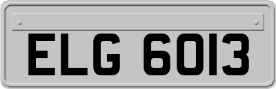 ELG6013
