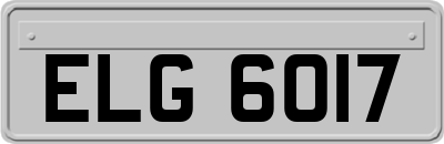 ELG6017