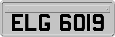 ELG6019