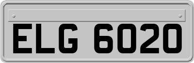 ELG6020