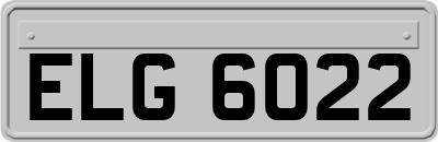 ELG6022