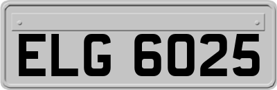 ELG6025