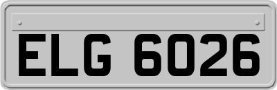 ELG6026