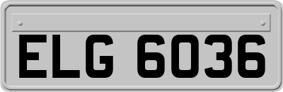 ELG6036