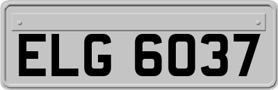 ELG6037