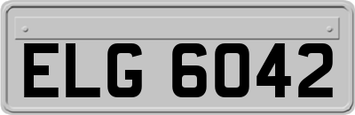 ELG6042