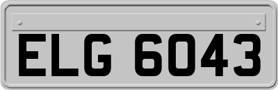 ELG6043
