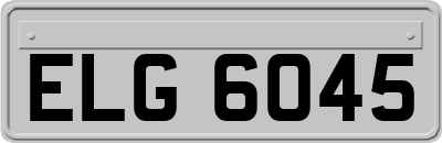 ELG6045