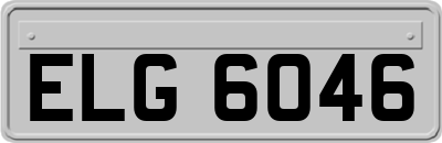 ELG6046