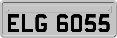 ELG6055